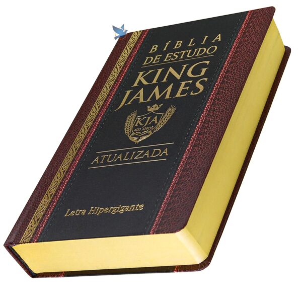 King James KJA Study Bible Hardcover Color Bordeaux and Black